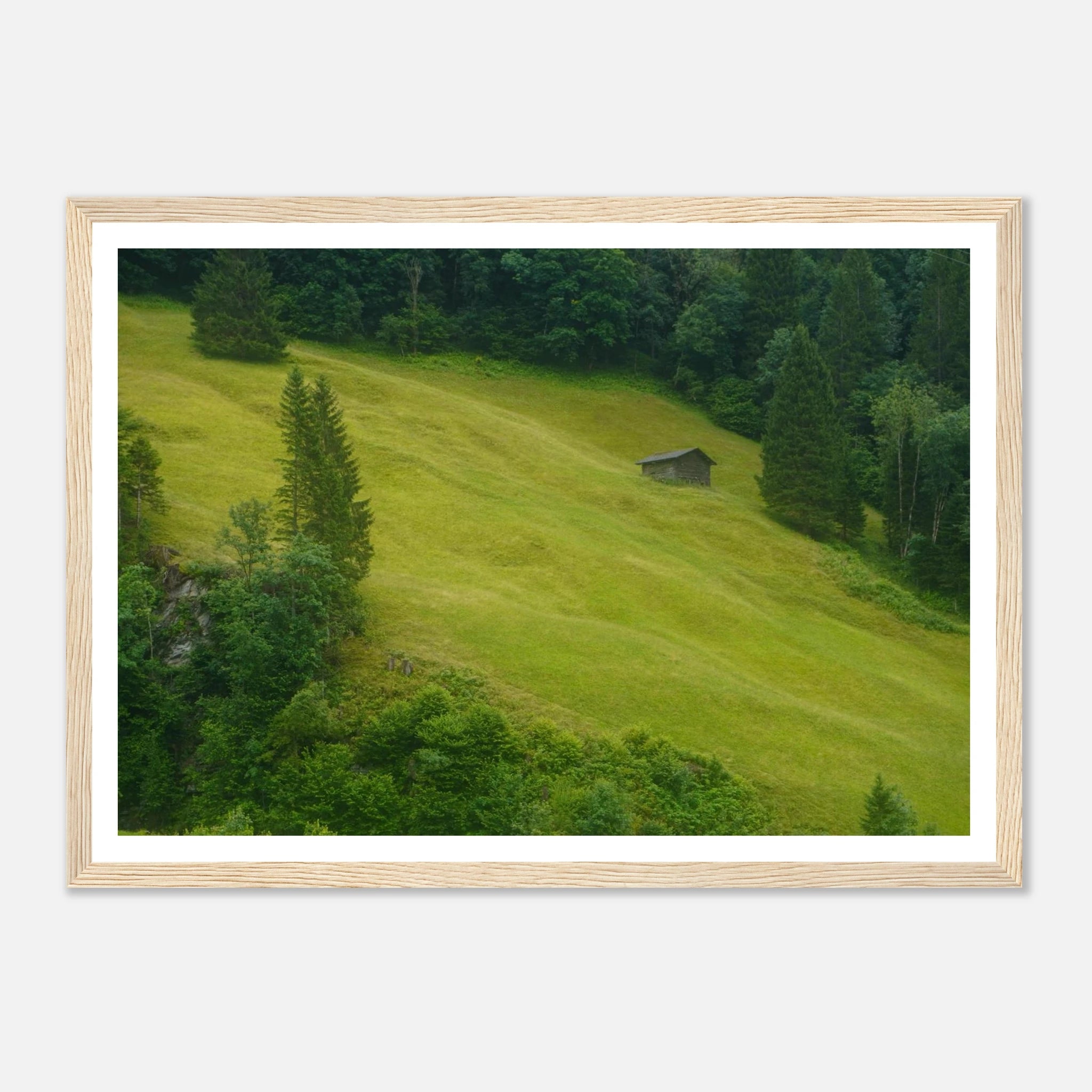 aa90efbb-1db4-46e9-ad65-f4e76df5a219