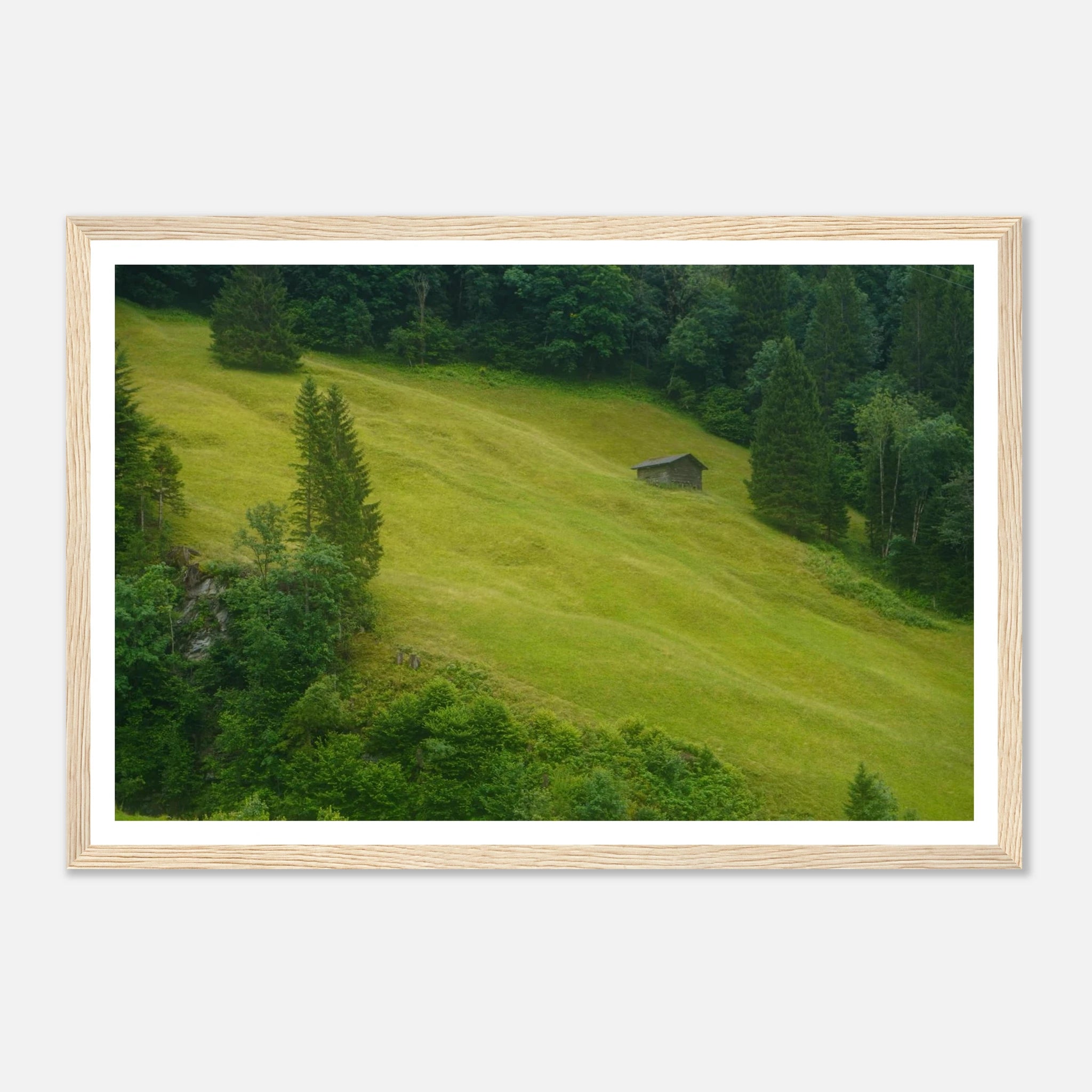 b3823e90-601c-429d-8f5d-9cff24af1aaa