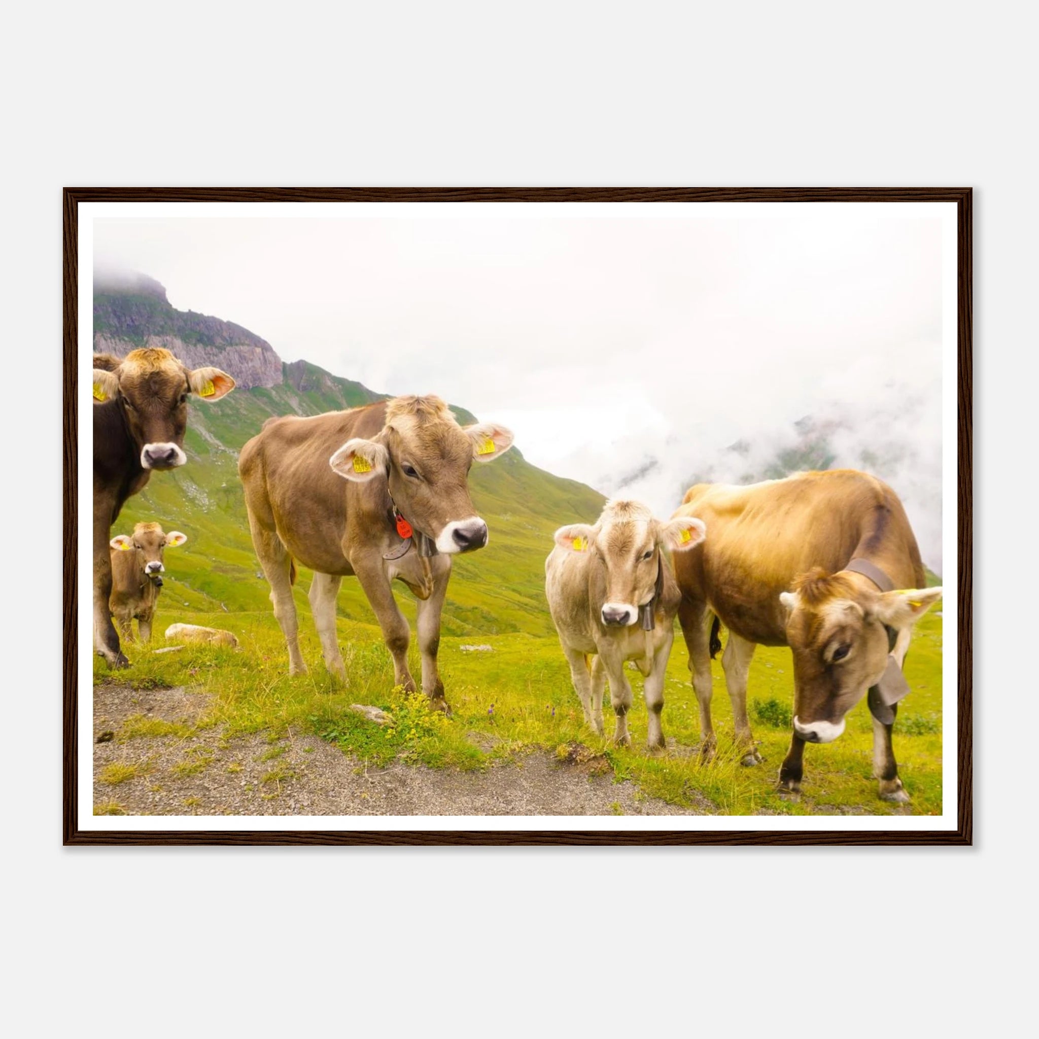 b9d549ac-5bb2-48c4-a661-77f4bef5aa77