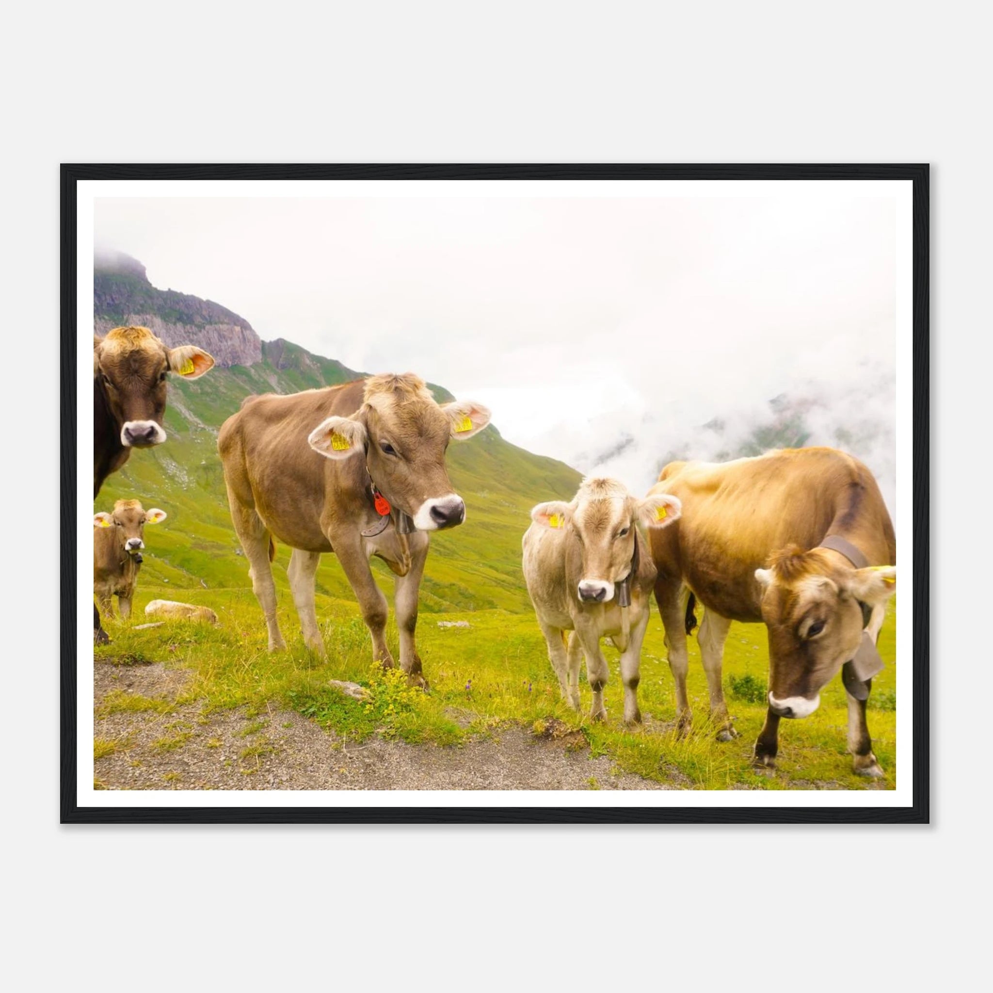 bc0477f0-3398-449b-84f8-0f75aea5a1a3