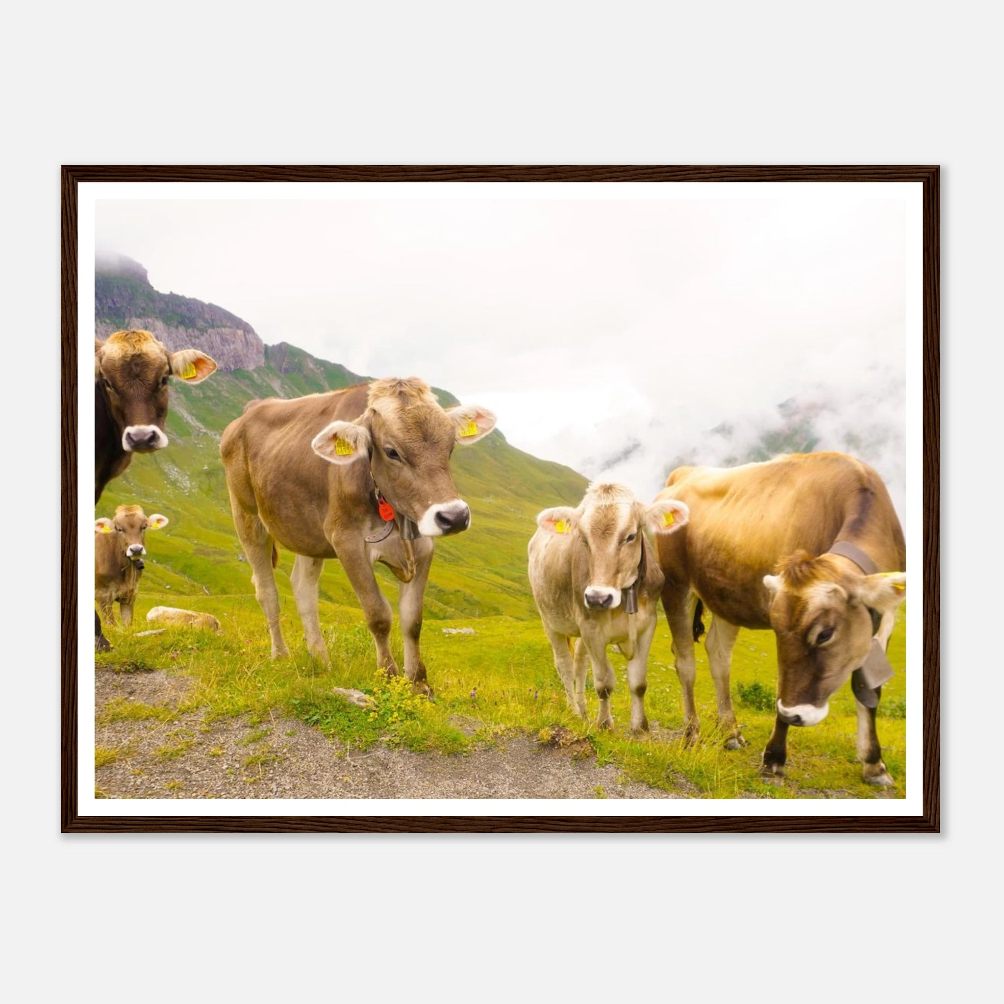 bcb49383-e4fb-460d-8d84-32d1607d44f2