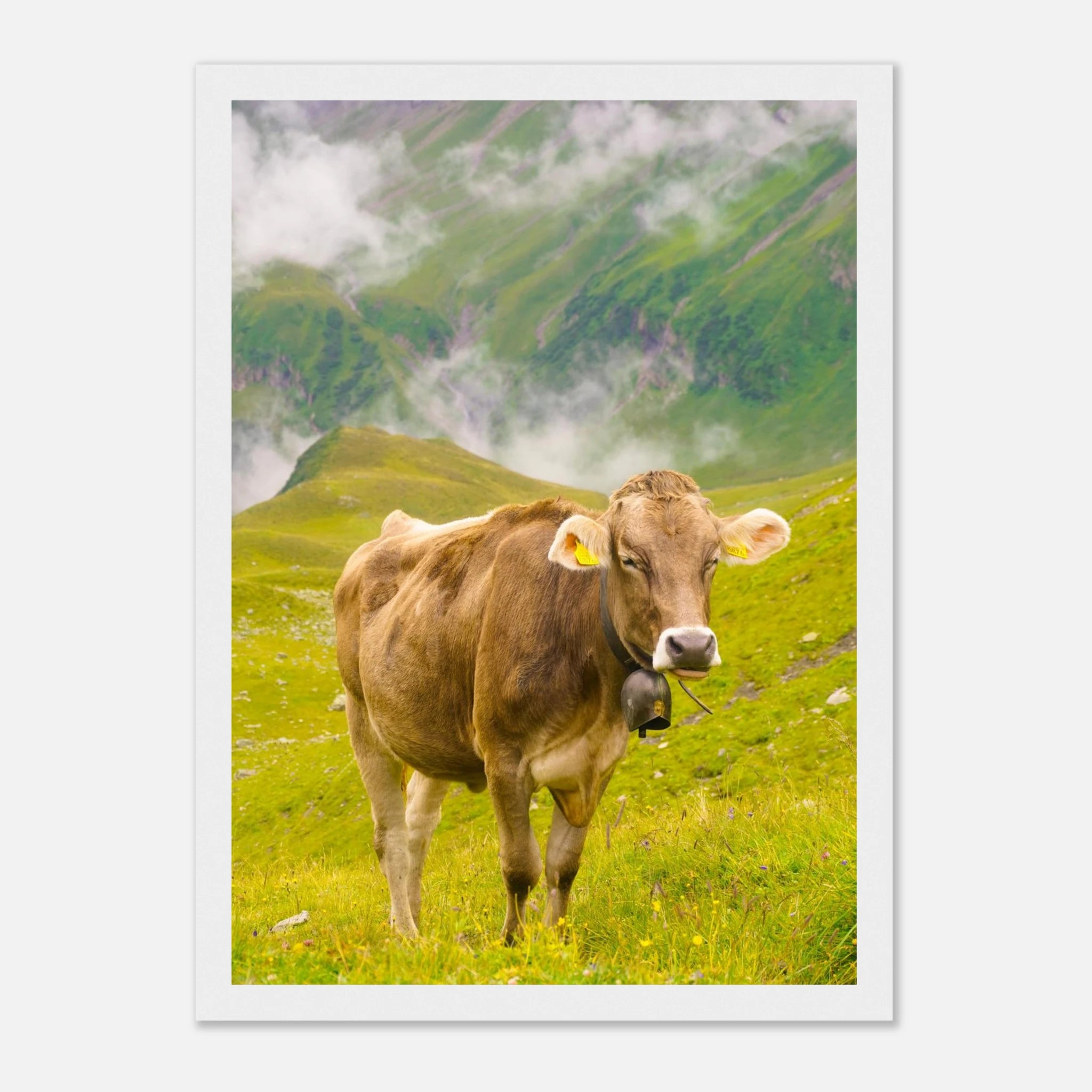 bcd39535-ea6e-4c30-982a-bb93c2e70612