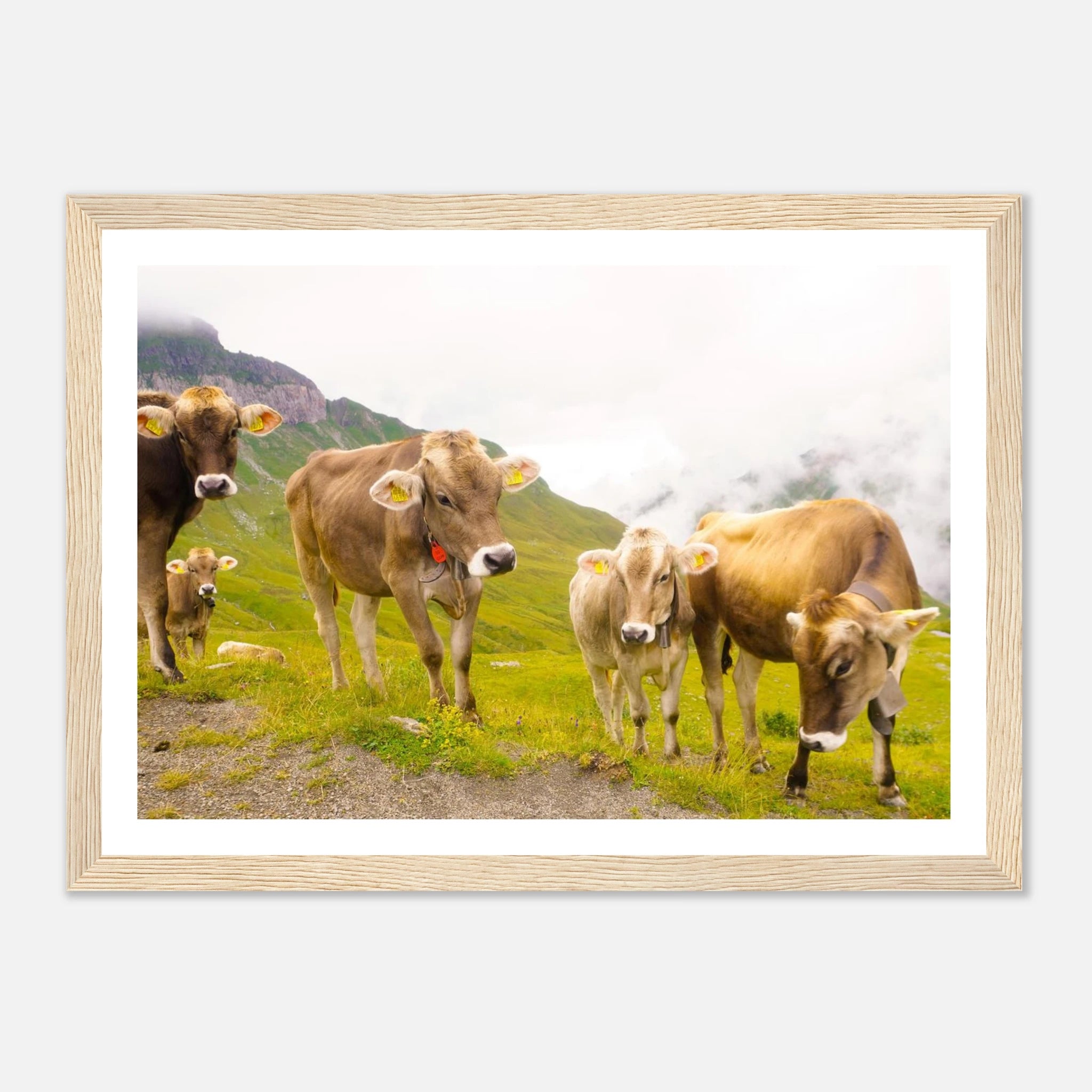 bd1b512e-a773-4b0c-9322-ea5692fb439a