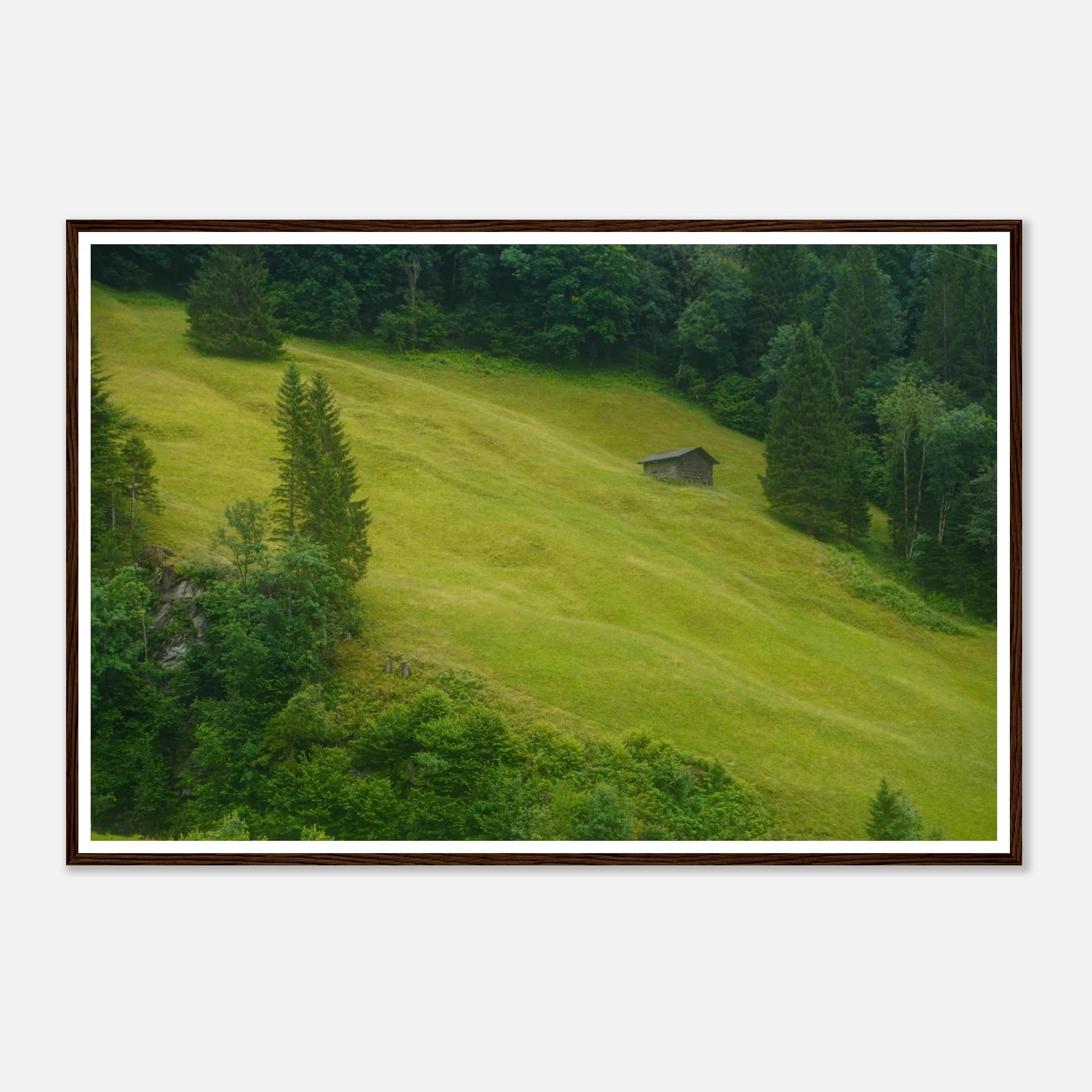 bf278fc7-a32a-4e35-a7b7-96fa852b28c4