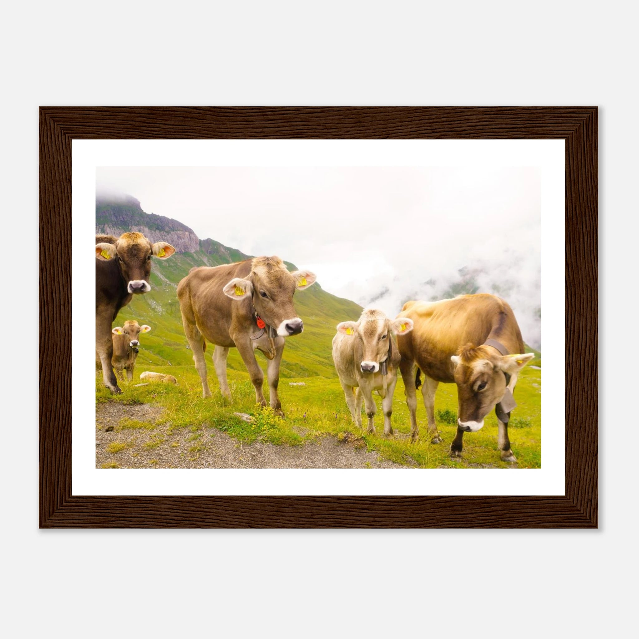 c1be8609-d9d8-4b77-bd69-0a46ea1b5331