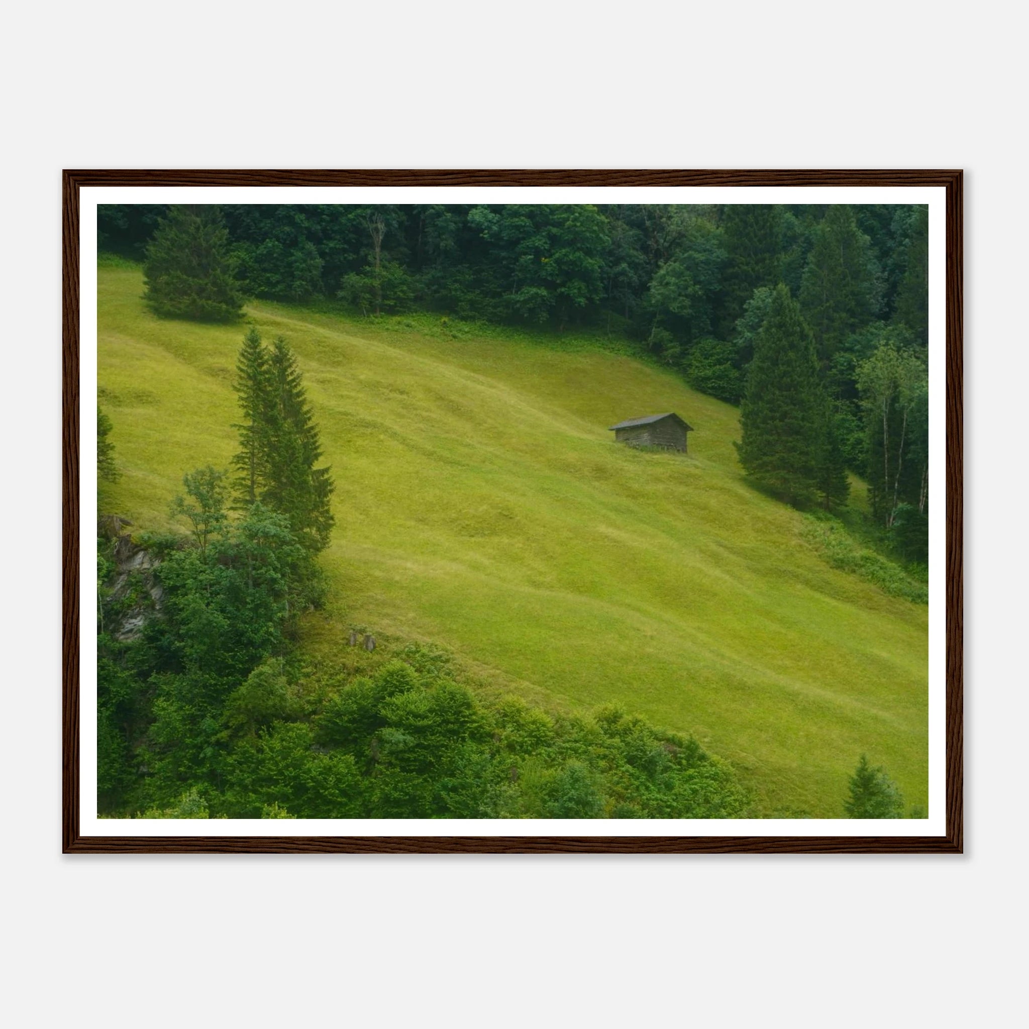 c69e5c4b-8a2a-4236-bb27-1333d3425017