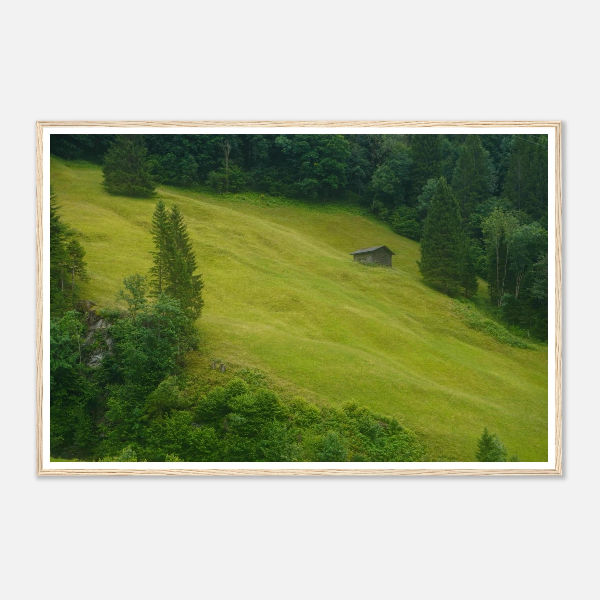 c82eb583-8951-4084-8f81-25208dec5884