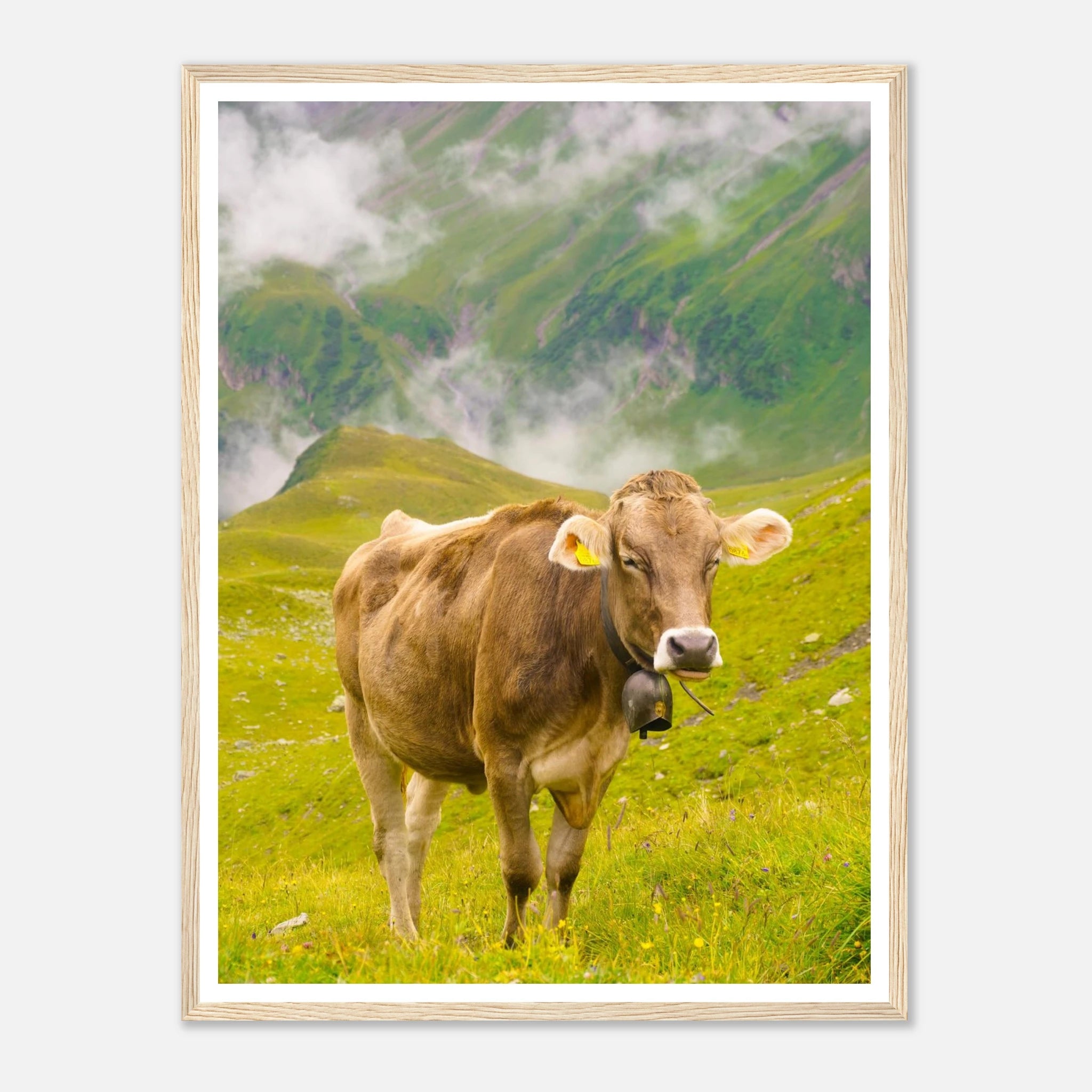 c985cfc4-4fbd-4642-9281-7cf5ad5da35b