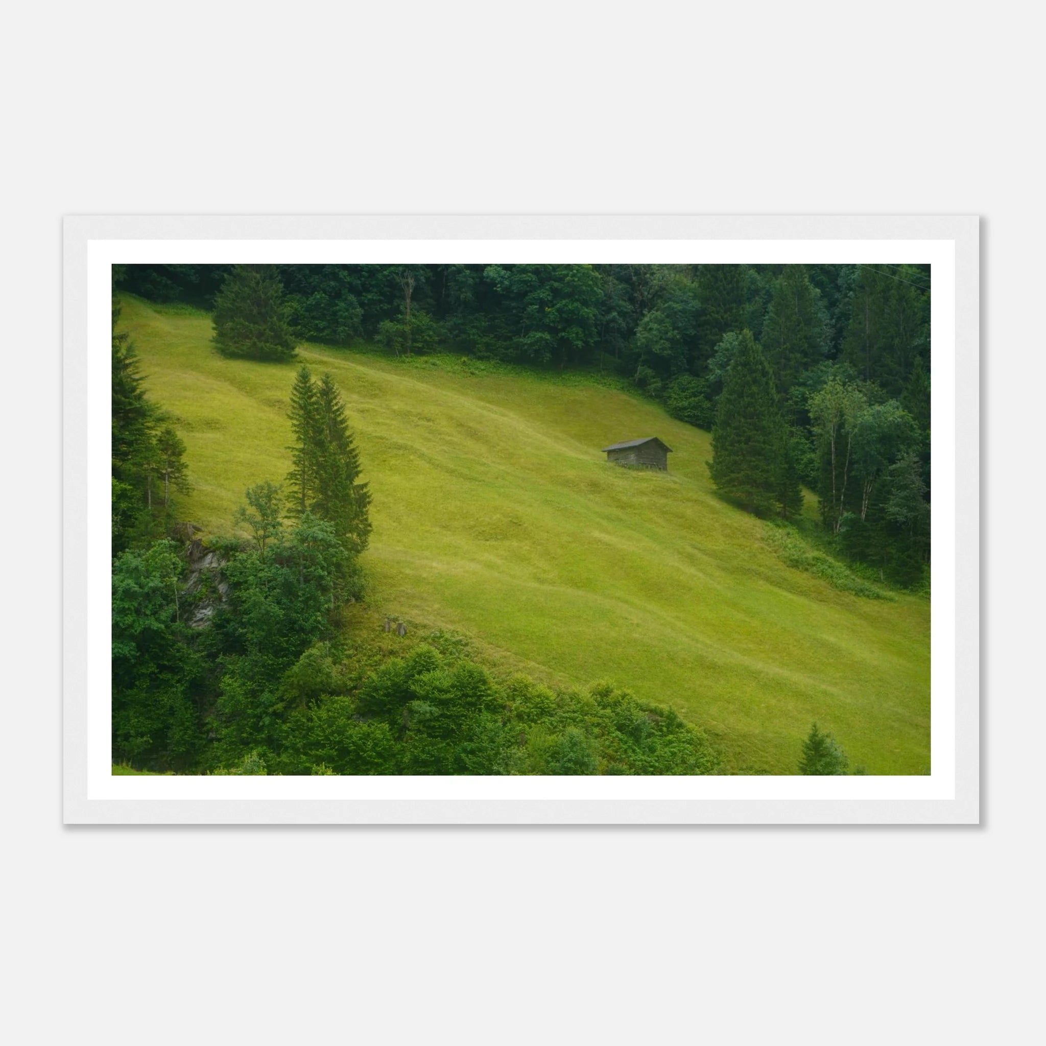 cbfc9a6b-25e6-4e82-94c2-bd590db4c313