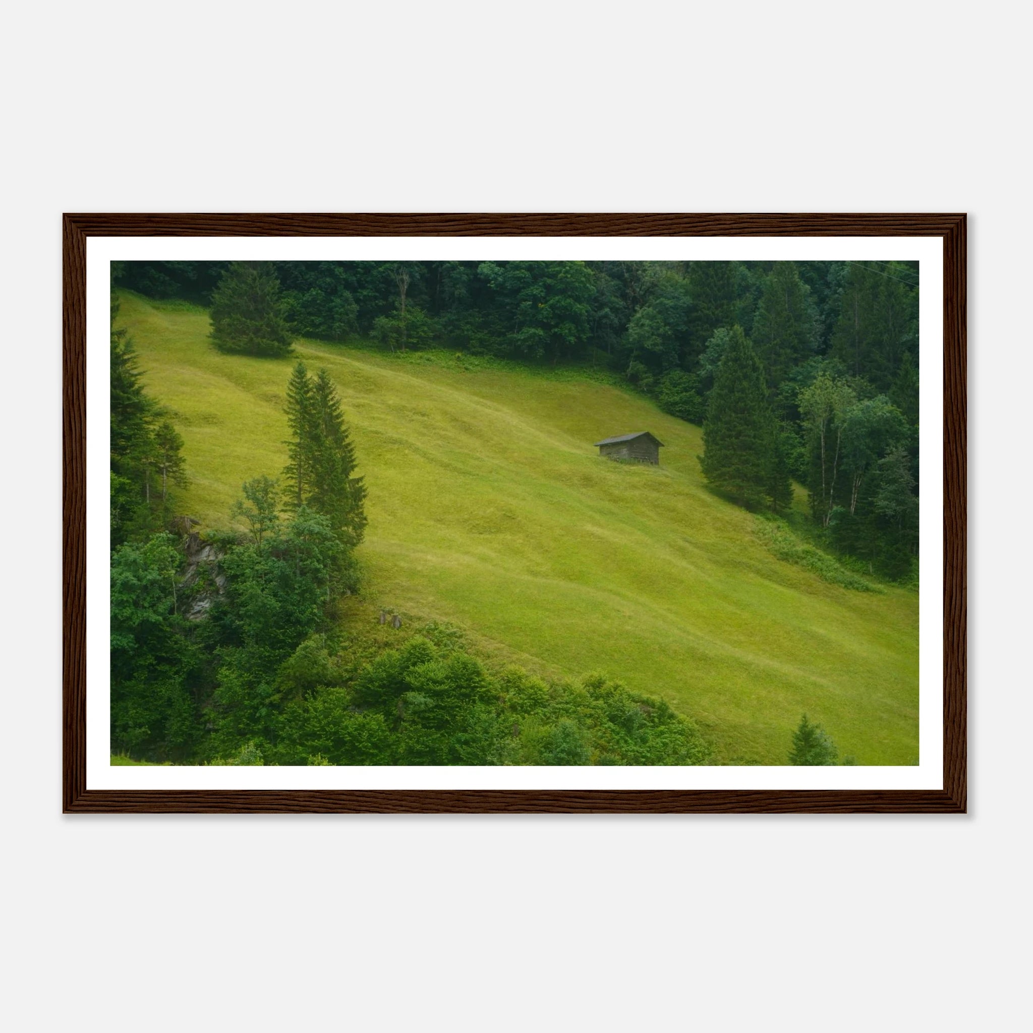 d6fee492-d64c-4558-8a92-2cae7c94f78a