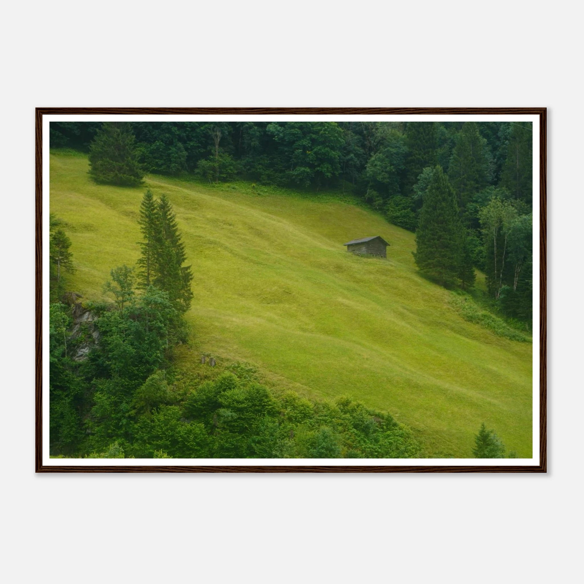 d8aea516-4f05-4d3c-8dae-c3e91bf7c21e