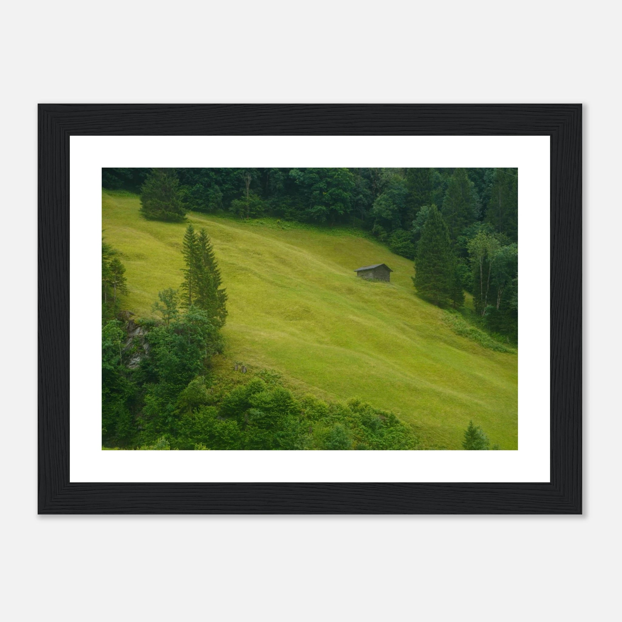 e2da6b58-994a-48c5-84f8-f6f55ad3eb8a