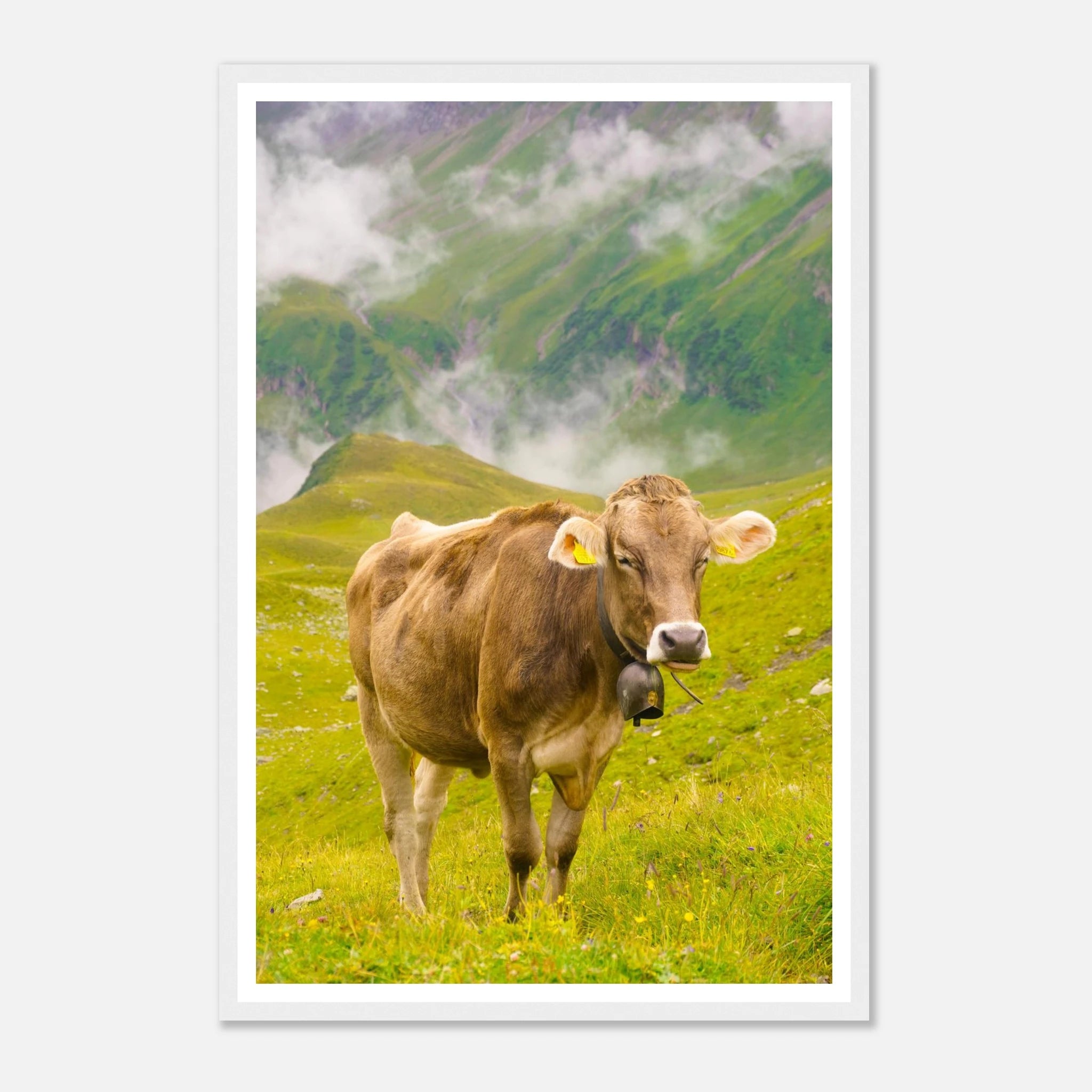 e3367c29-f635-478c-b0eb-77eea54f1c1f