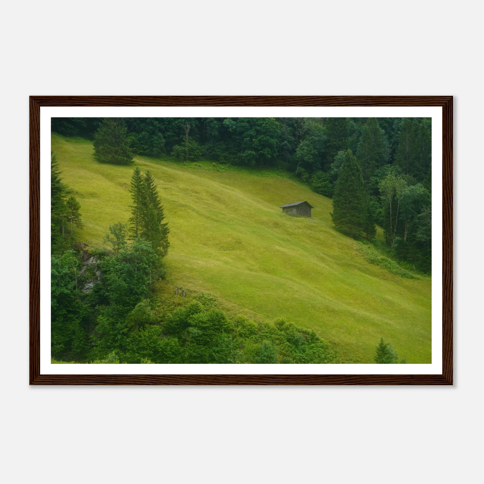 e3d7d0c1-89d2-487f-a981-4bd23583ae2b