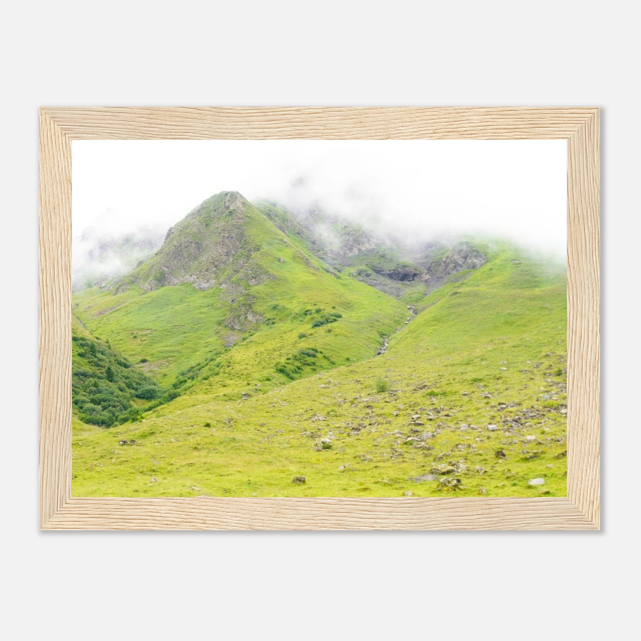 e56c80a8-a993-42c3-9f37-3d2447d12df6