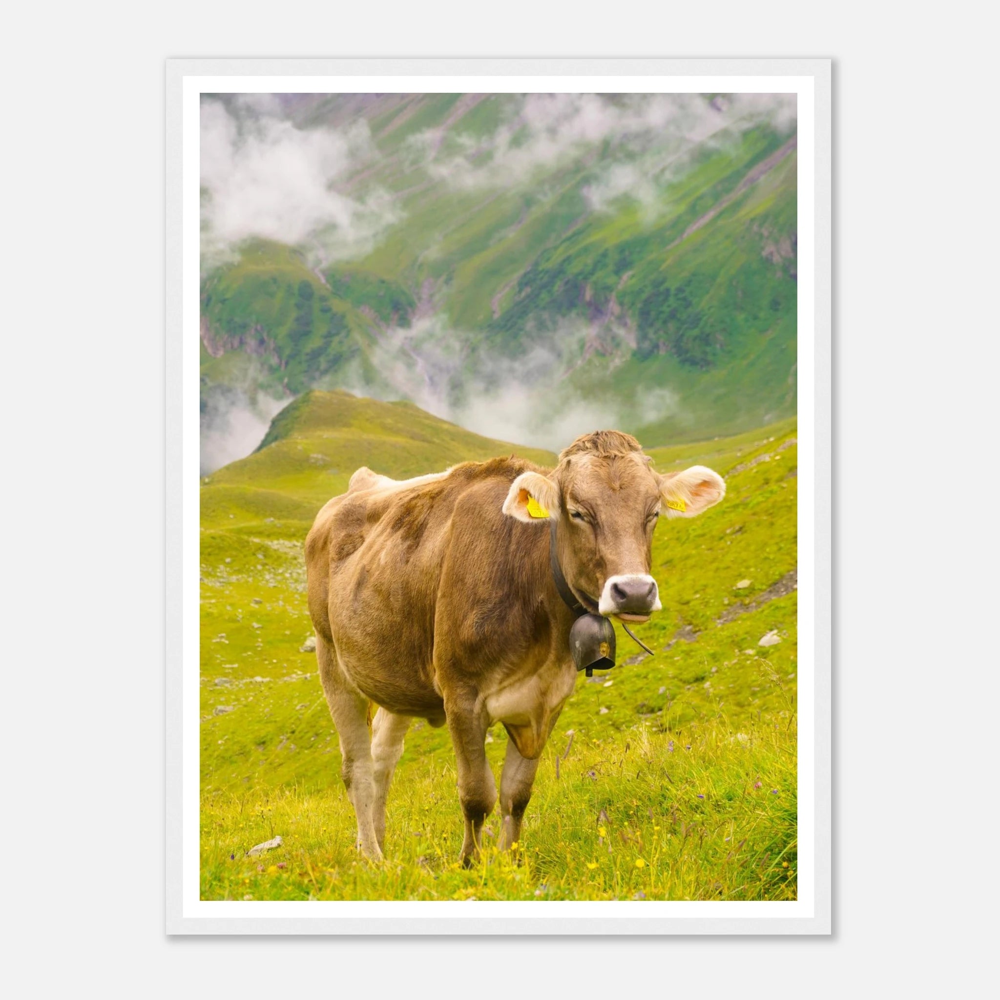 e67d0578-0a2f-4263-b09f-9bdf0c4c7234