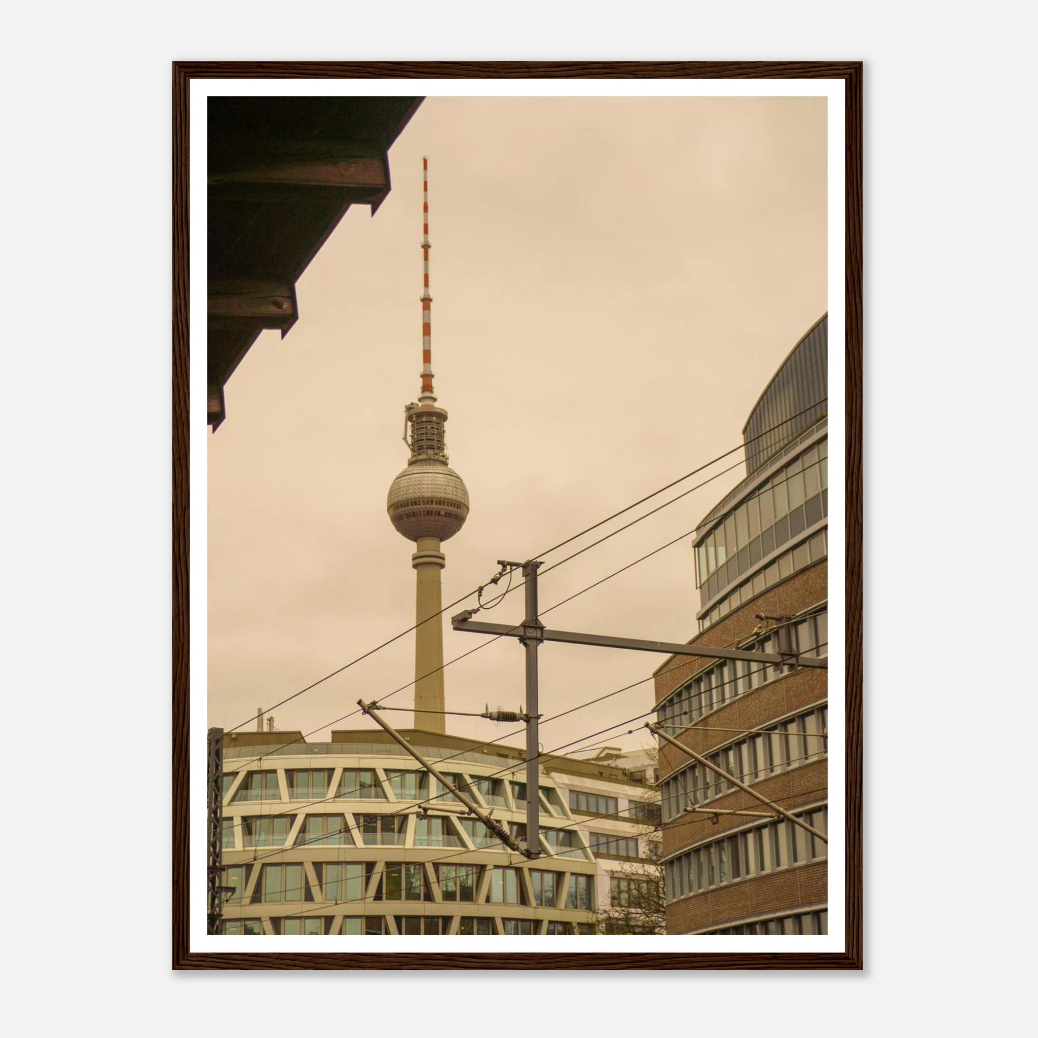 ec81a017-cd44-4f1e-815f-8a6e6cebc595