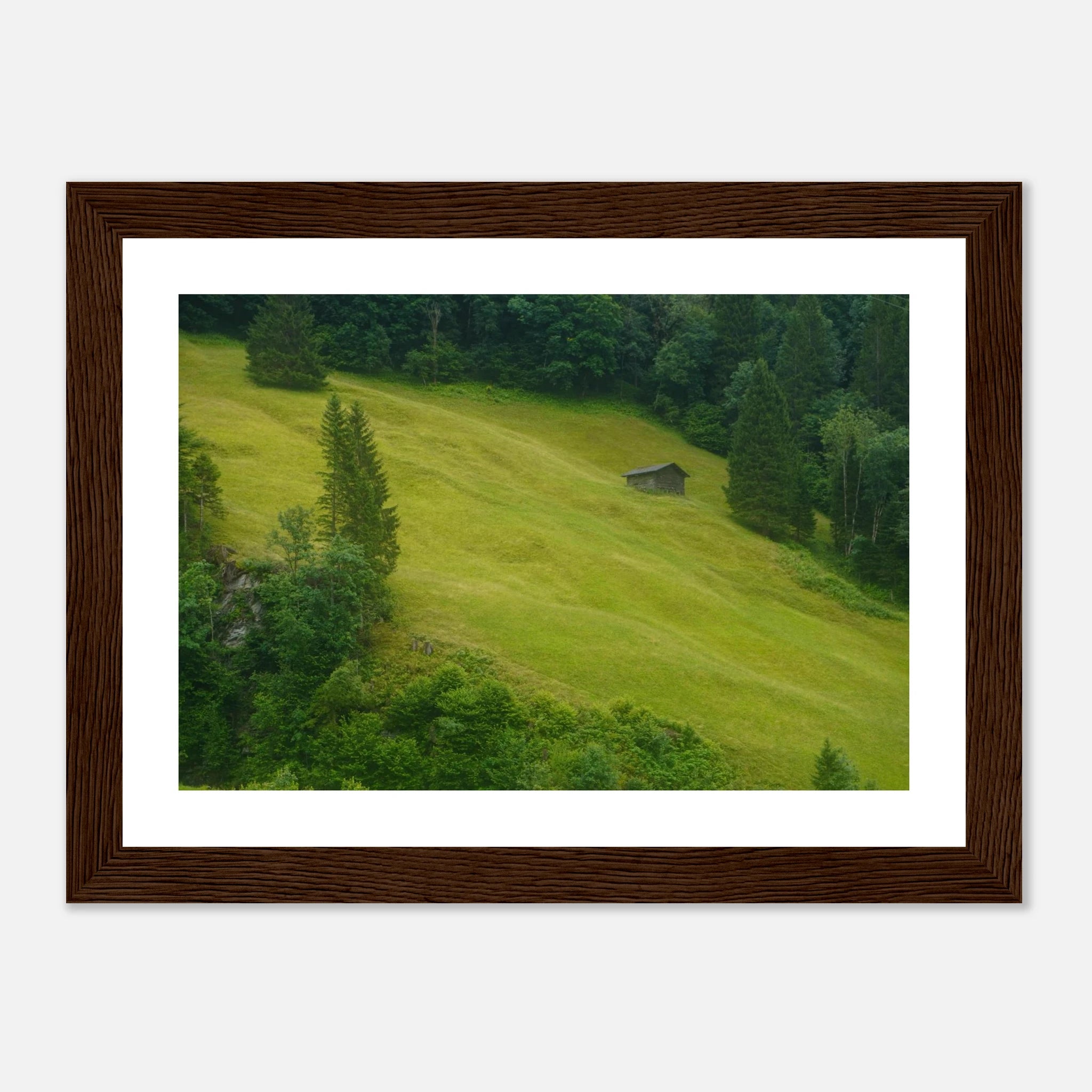 ef057ac1-2183-47c5-b46f-dee00c1ec682