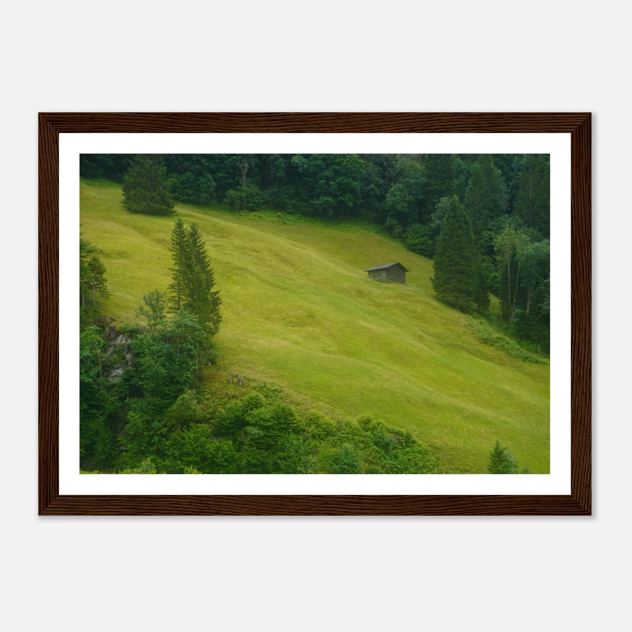 f5e25b32-1479-4498-8d9b-41fbdb173e94