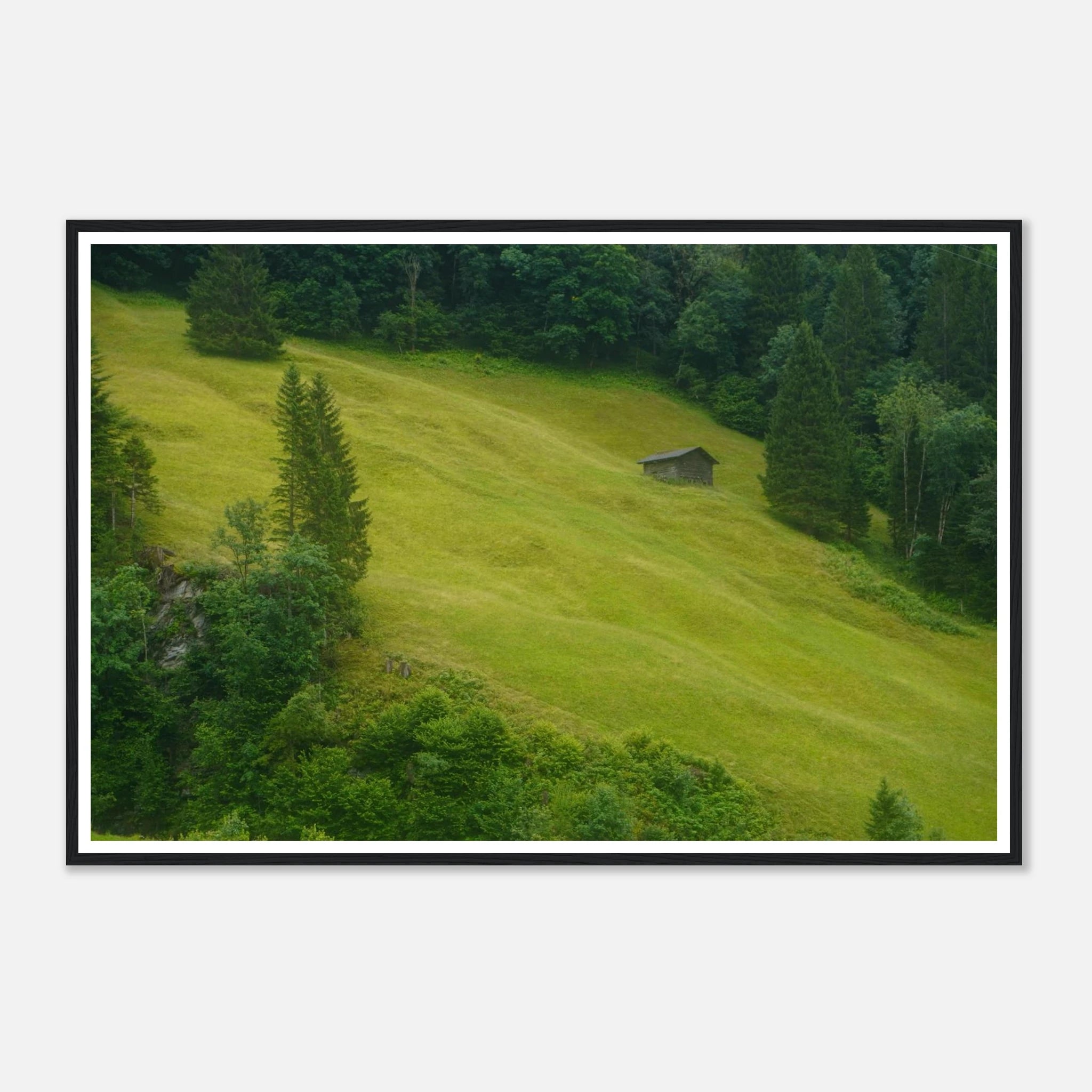 f726001c-9e52-427d-87b8-360e9a809fec