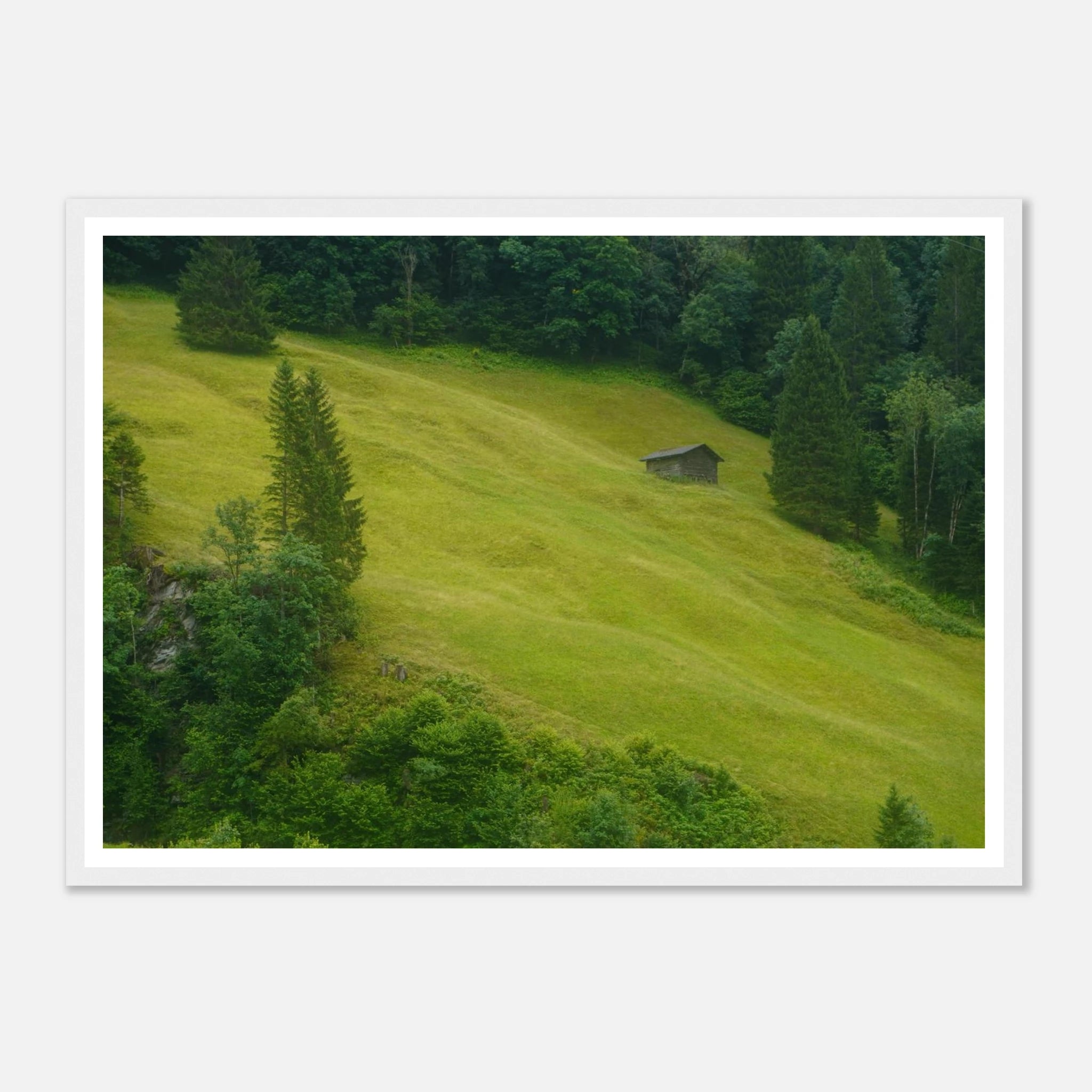 fdfe5faa-7e49-4911-b238-101eb471c497